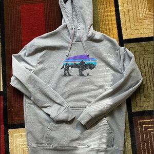 Patagonia hoodie